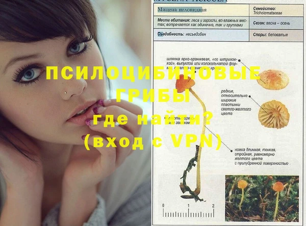 не бодяженный Новокубанск