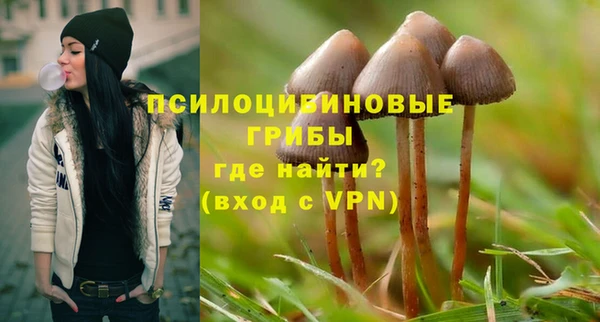 соль курить ск Новодвинск