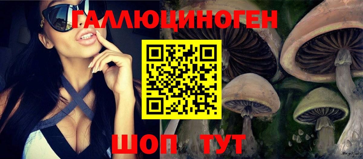 Галлюциногенные грибы Psilocybe Лабинск