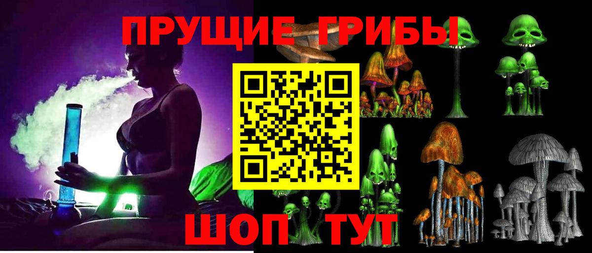 Псилоцибиновые грибы Psilocybe  Вход с VPN  Лабинск 