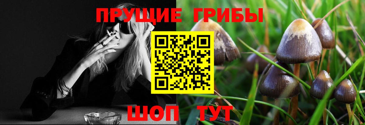 где купить наркоту  Лабинск  Галлюциногенные грибы MAGIC MUSHROOMS  Псилоцибиновые грибы ЛСД 